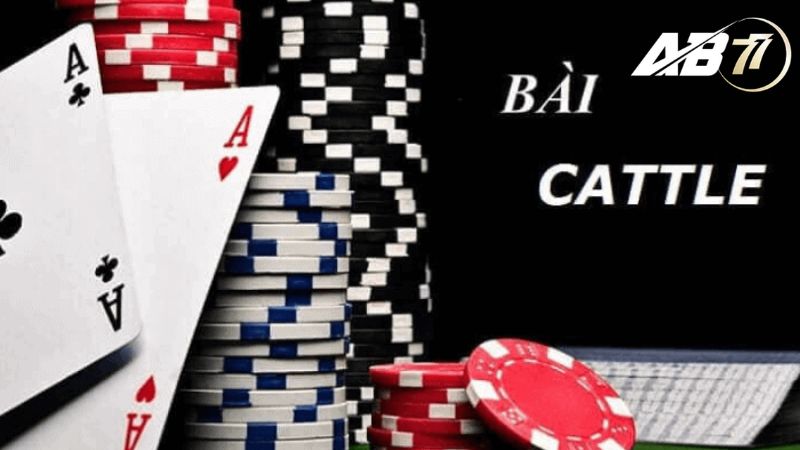 Game bài Catte - Đấu trí, tư duy đánh bài siêu thú vị