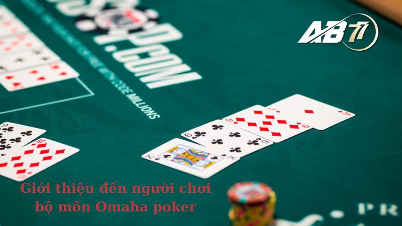 Giới thiệu đến người chơi bộ môn Omaha poker